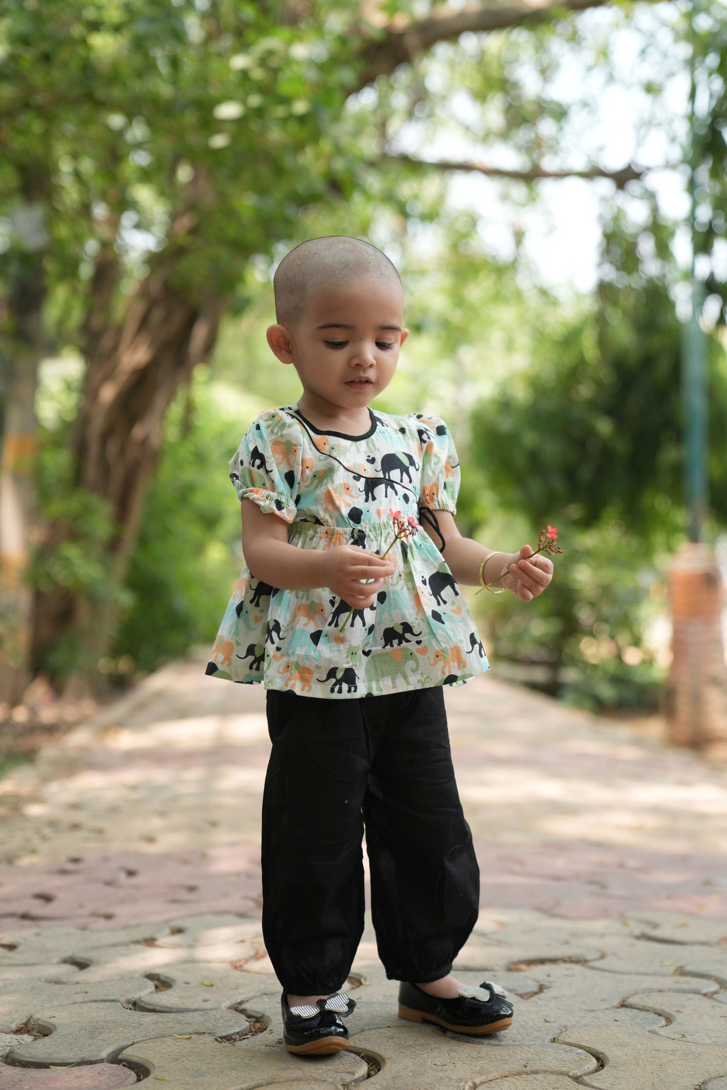 Safari Stroll Angrakha Harem Set