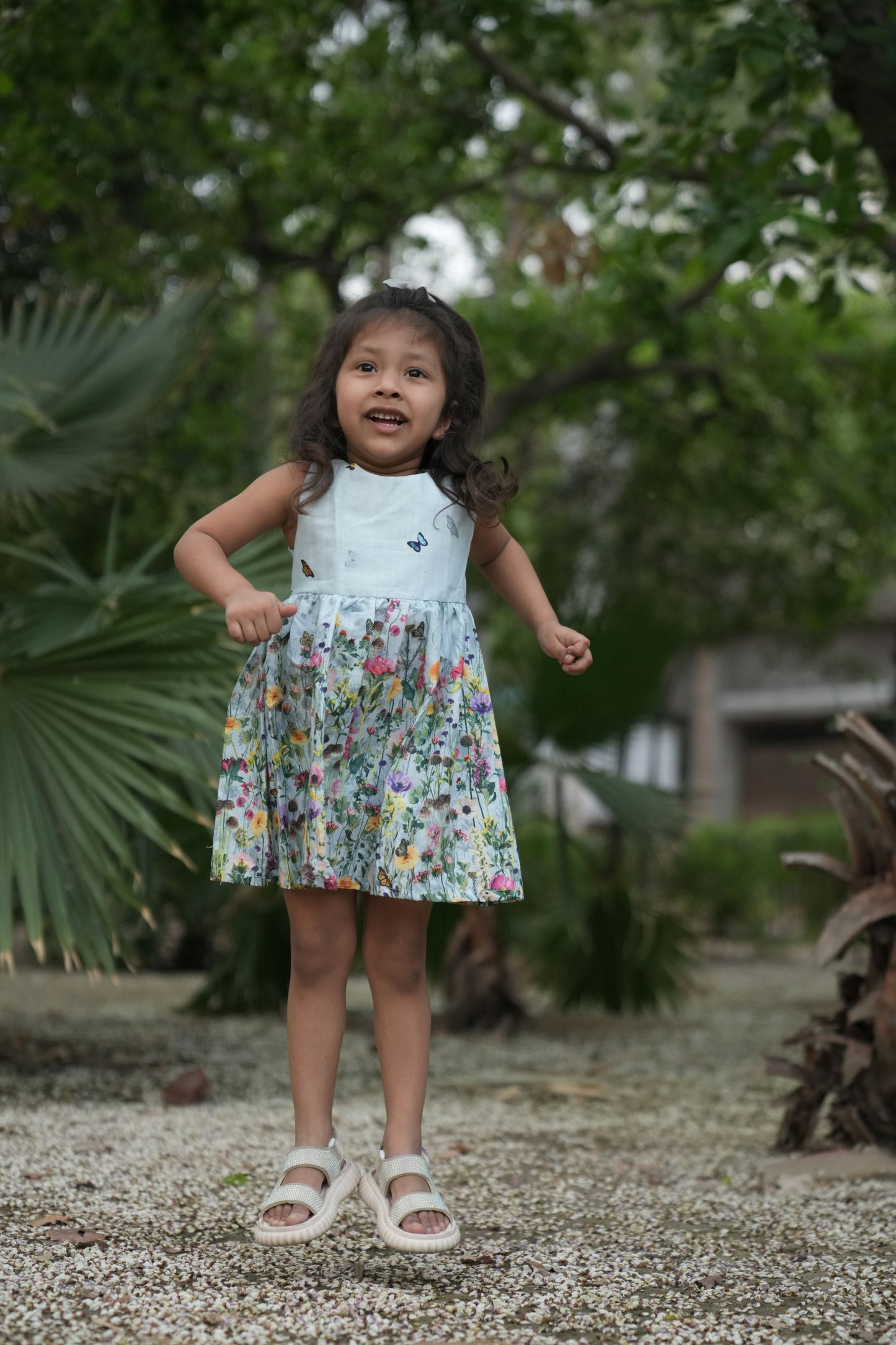 Butterfly Meadow Frock