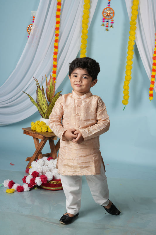 Silken Taupe Kurta Set