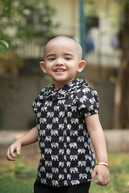 Elephant Pleats Delight Top