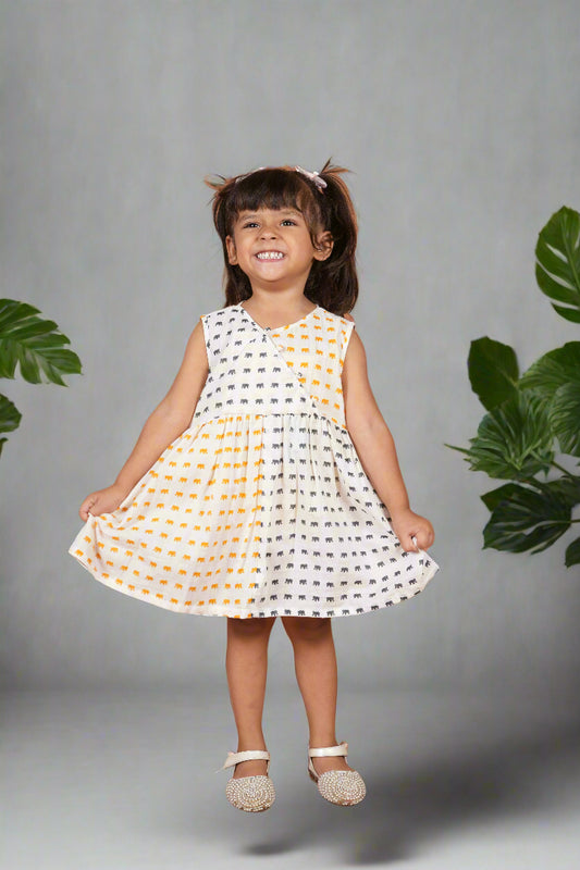 Tiny Explorer Frock