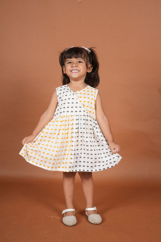 Tiny Explorer Frock