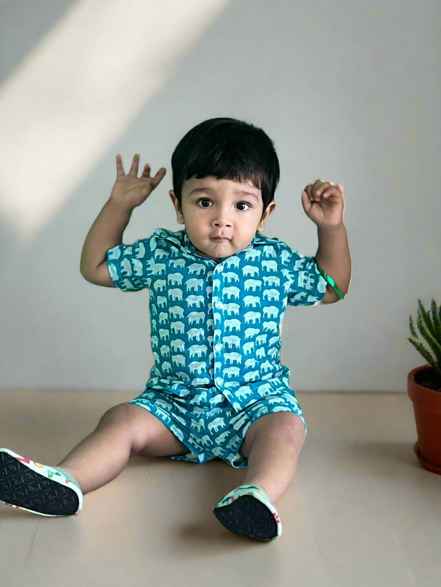 Cuddly Cubs Boys Zoofari Co- ord pack